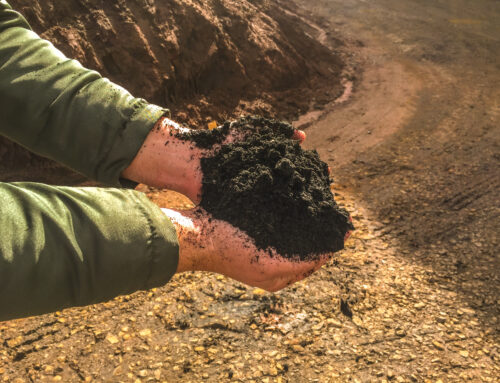 Os benefícios da Adubação Orgânica