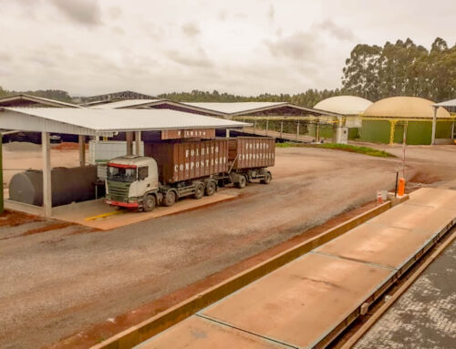 Melhorias e evolução constante.